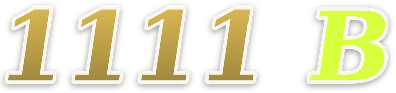 1111 b